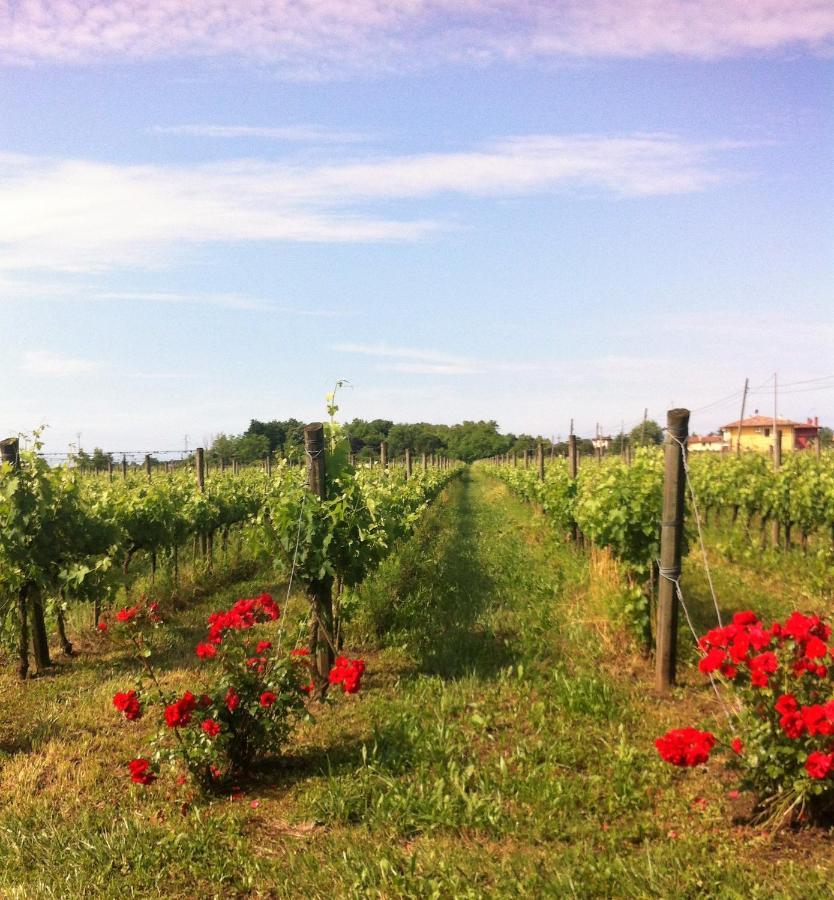 Agriturismo Gazza Ladra Villa Noventa di Piave Kültér fotó